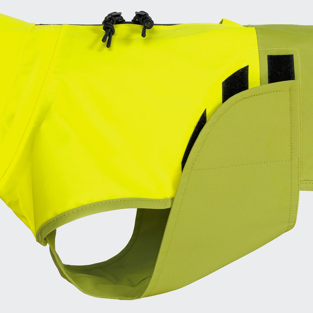Dachshund Raincoat AKTIV Neon Green/Light Olive product image