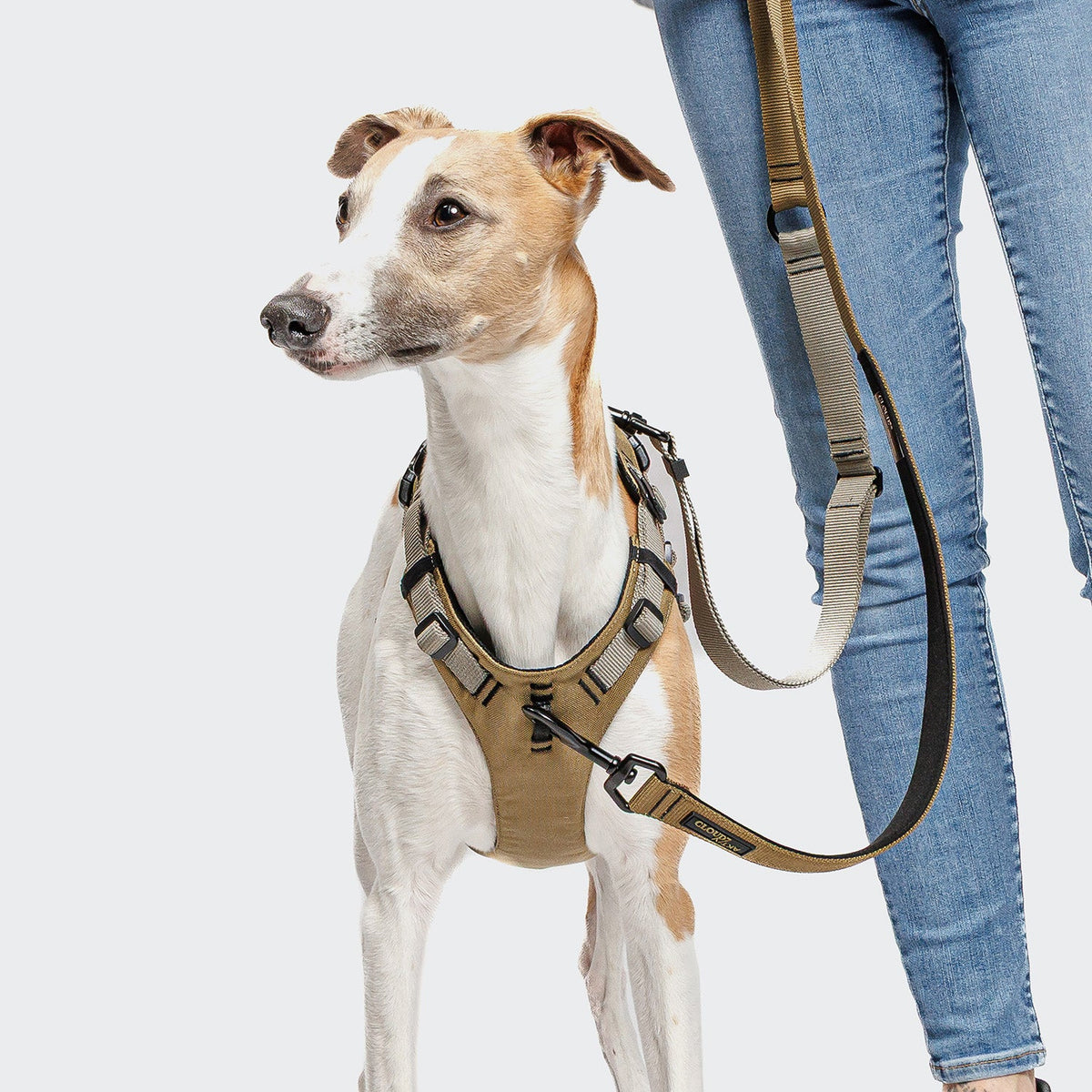 L-1 Hands-Free Leash AKTIV Khaki/Grey product image