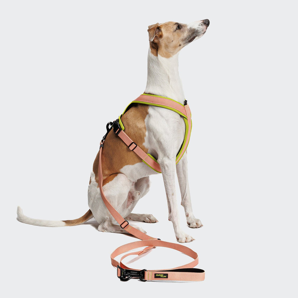 L-1 Hands-Free Leash AKTIV Peach product image