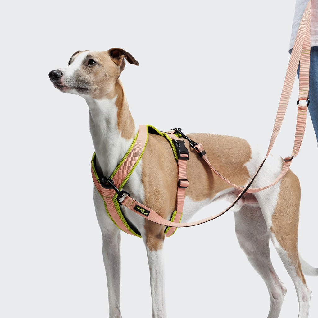 Y-1 Harness AKTIV Air-Mesh Peach product image