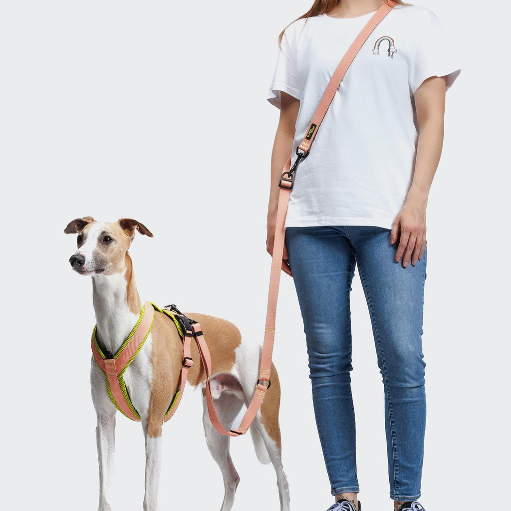 L-1 Hands-Free Leash AKTIV Peach product image