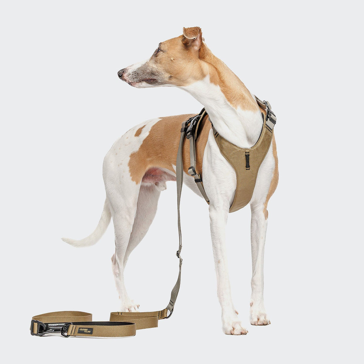 L-1 Hands-Free Leash AKTIV Khaki/Grey product image