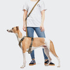 Y-2 Harness AKTIV Cordura Khaki product image