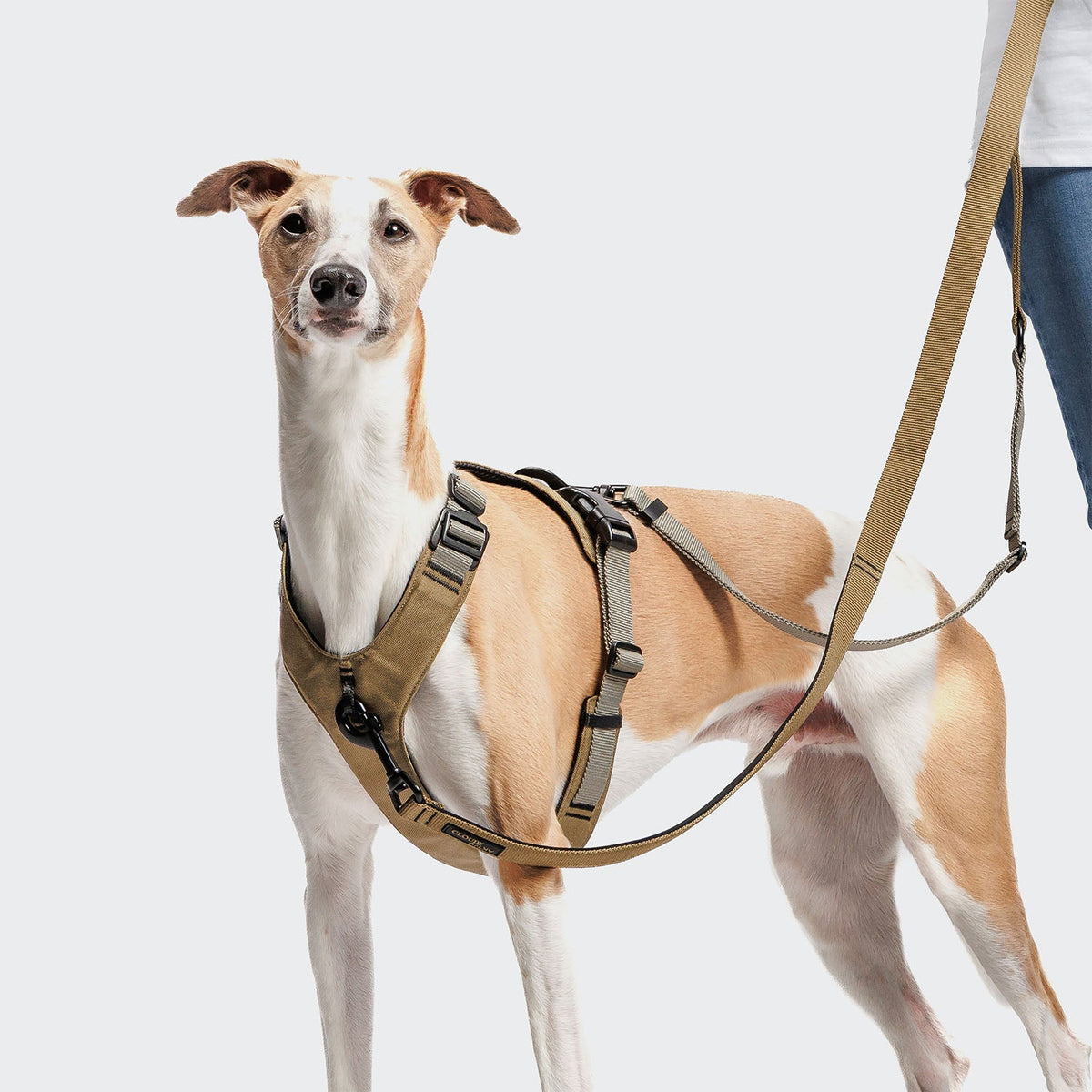 Y-2 Harness AKTIV Cordura Khaki product image