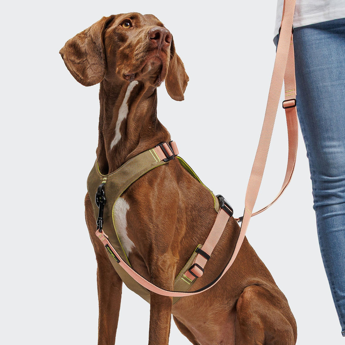 Y-2 Harness AKTIV Cordura Peach product image