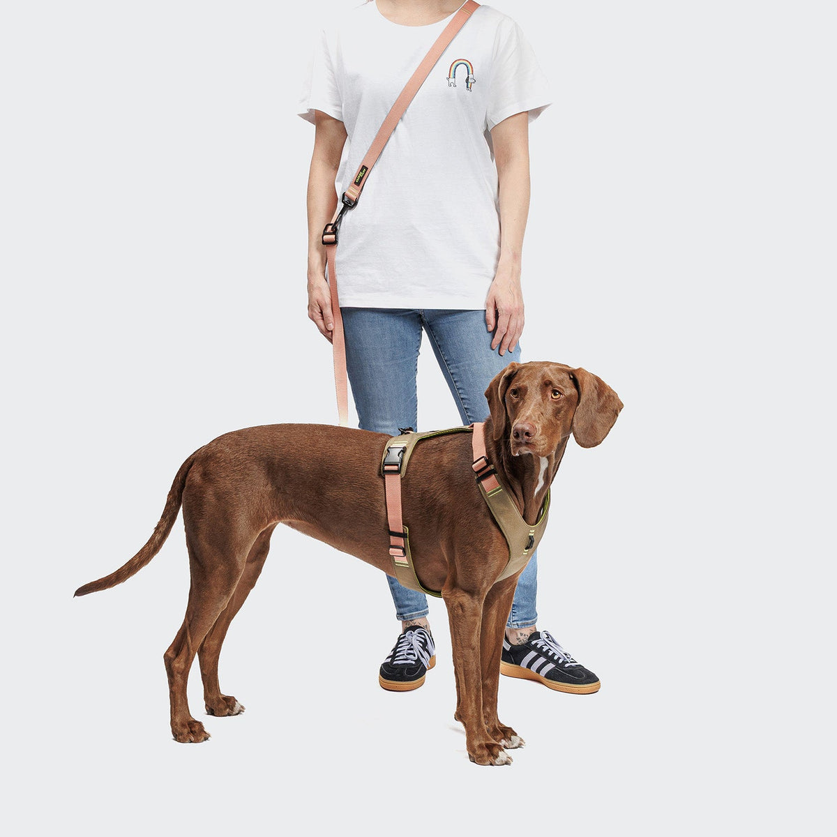 Y-2 Harness AKTIV Cordura Peach product image