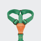 Dog Harness Madeira Amber product image