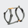 Dog Harness Madeira Biscuit product image