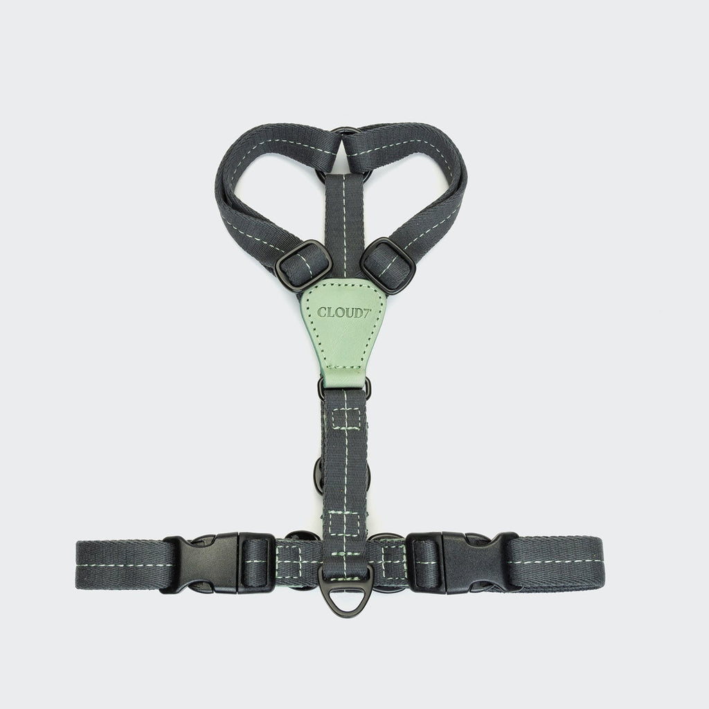 Dog Harness Madeira Mint product image