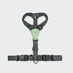 Dog Harness Madeira Mint product image