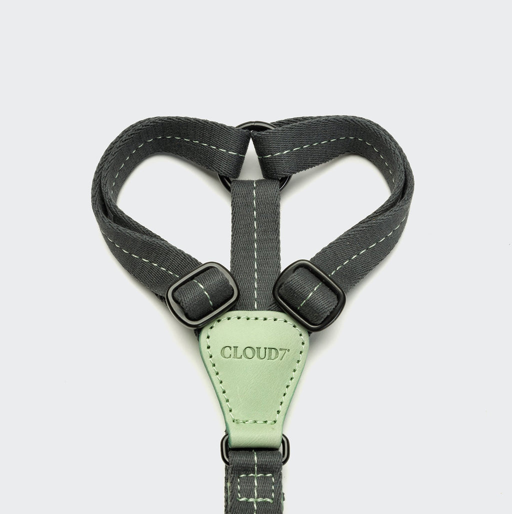 Dog Harness Madeira Mint product image