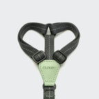Dog Harness Madeira Mint product image