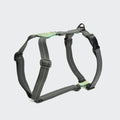 Dog Harness Madeira Mint product image