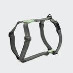 Dog Harness Madeira Mint product image
