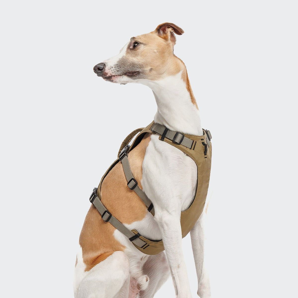 Y Safety Harness AKTIV Khaki/Grey product image