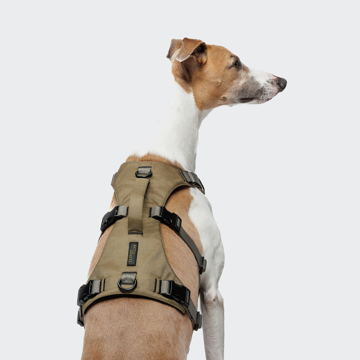Y Safety Harness AKTIV Khaki/Grey product image