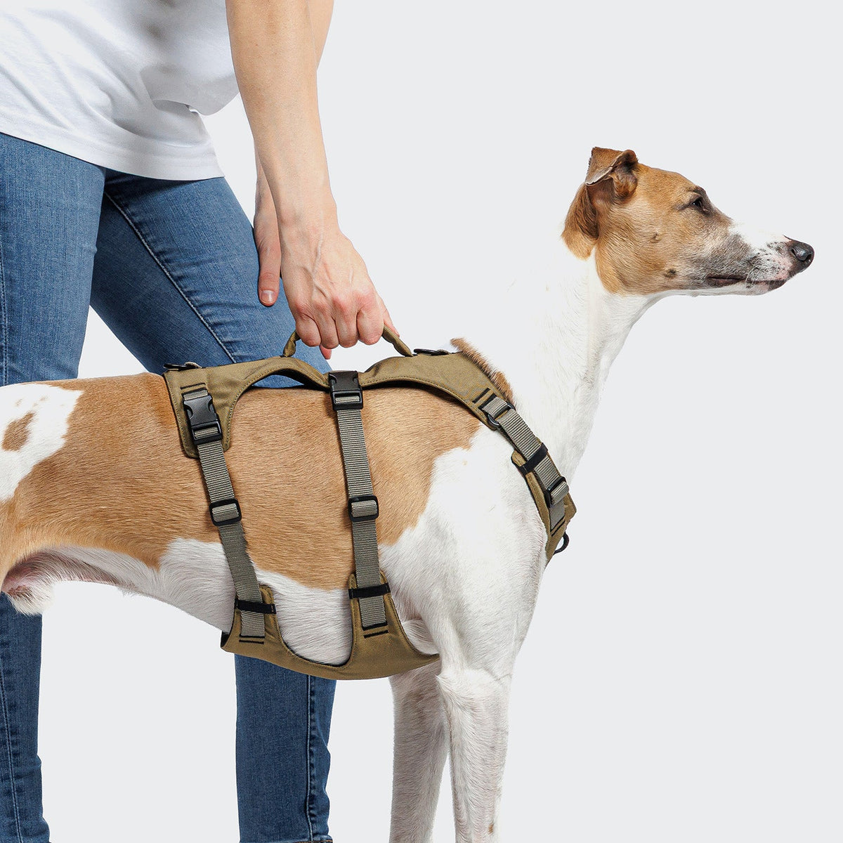 Y Safety Harness AKTIV Khaki/Grey product image