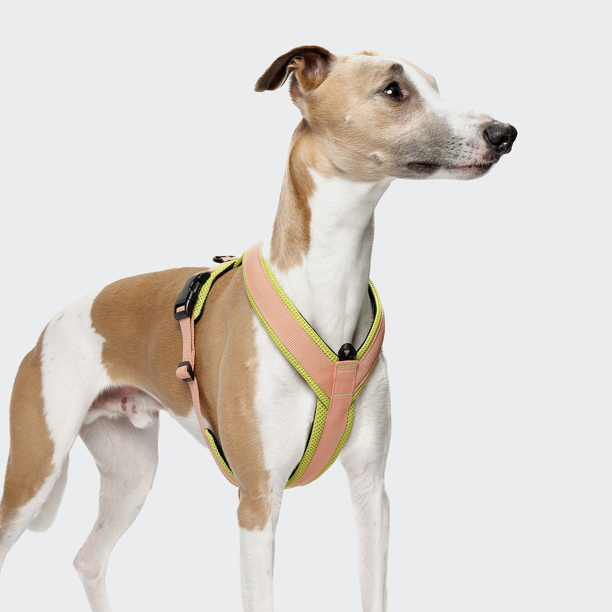 Y-1 Harness AKTIV Air-Mesh Peach product image