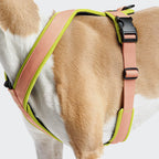 Y-1 Harness AKTIV Air-Mesh Peach product image