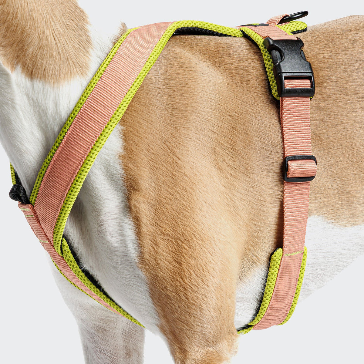 Y-1 Harness AKTIV Air-Mesh Peach product image