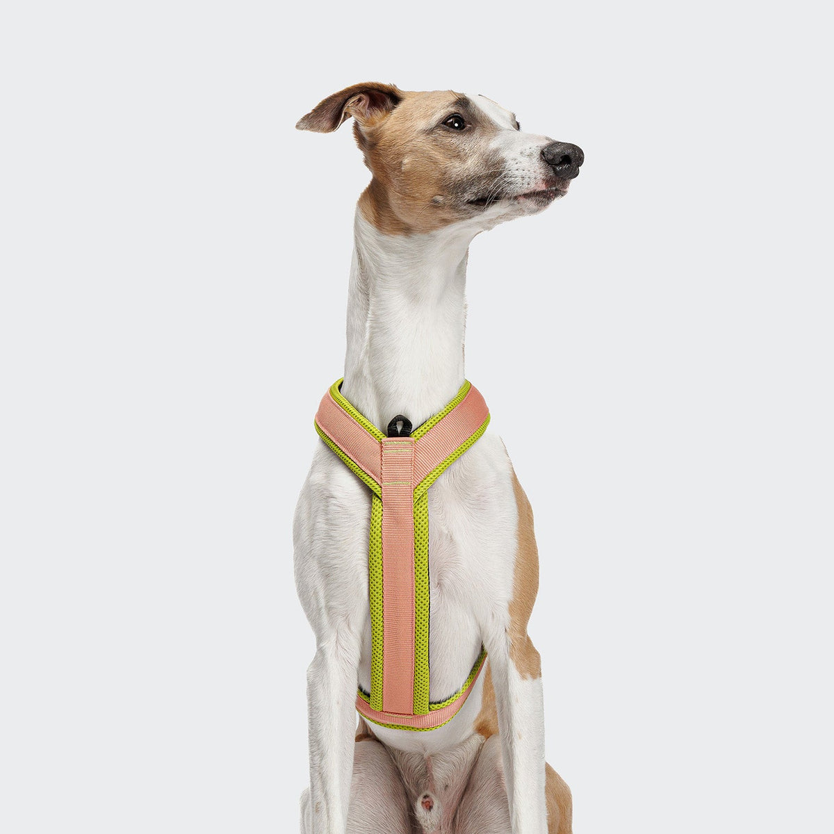 Y-1 Harness AKTIV Air-Mesh Peach product image