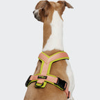 Y-1 Harness AKTIV Air-Mesh Peach product image