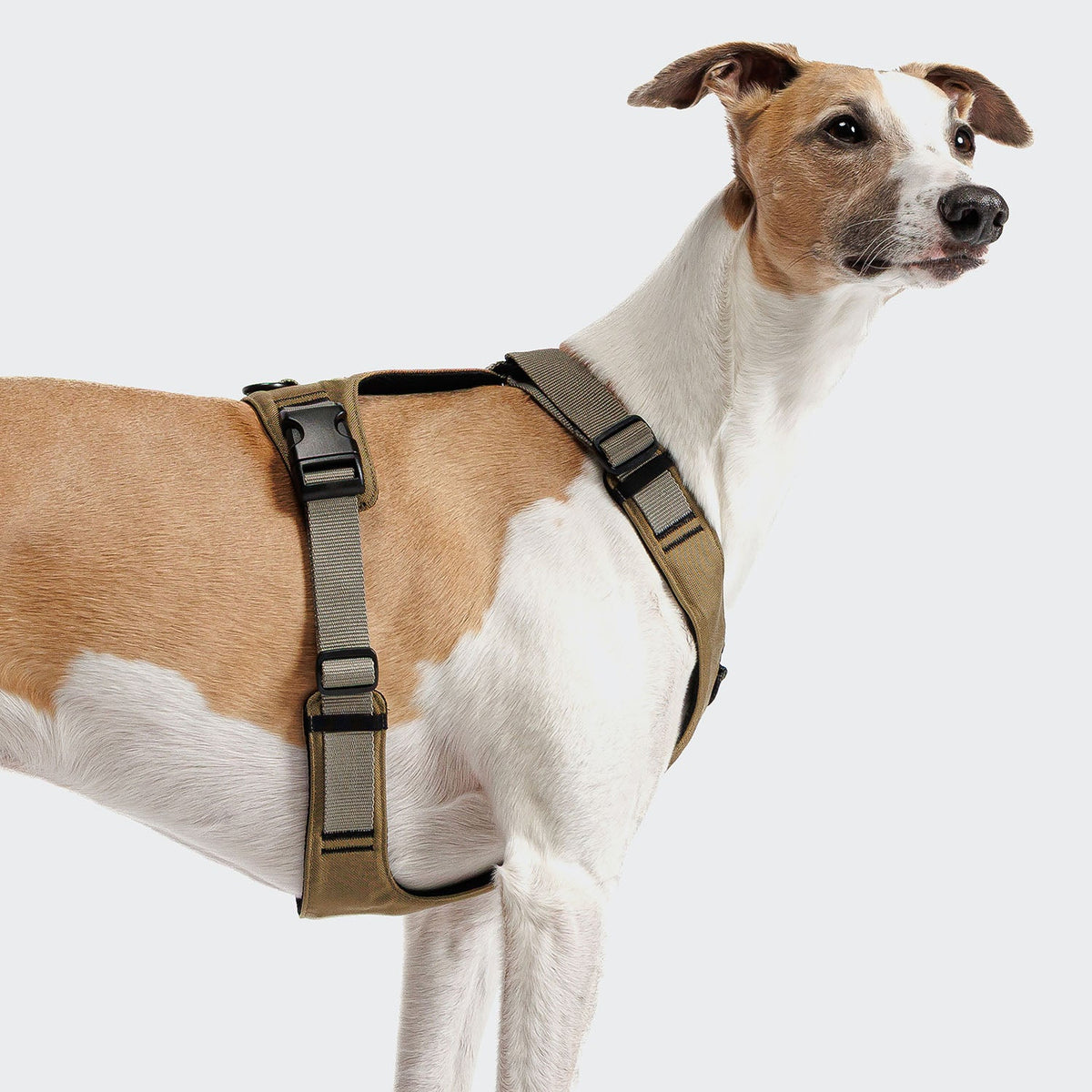 Y-2 Harness AKTIV Cordura Khaki product image