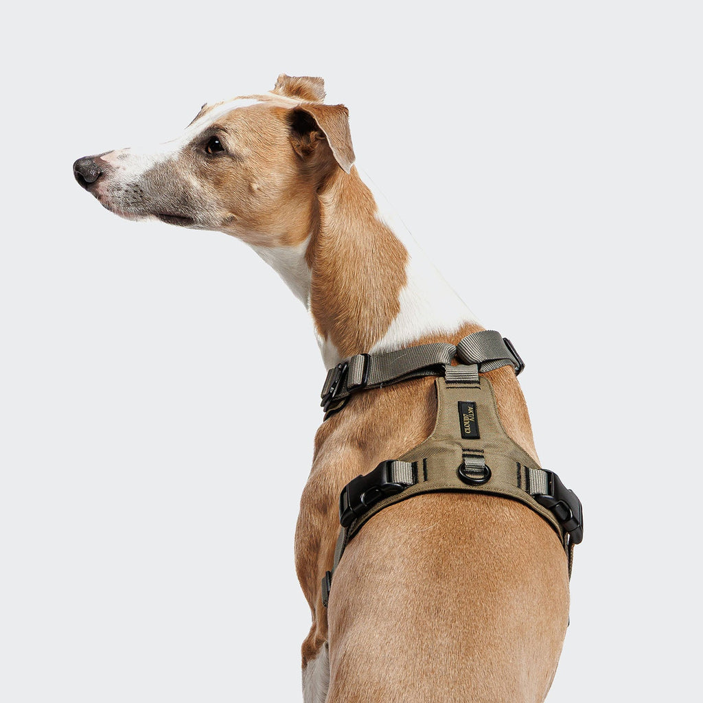 Y-2 Harness AKTIV Cordura Khaki product image