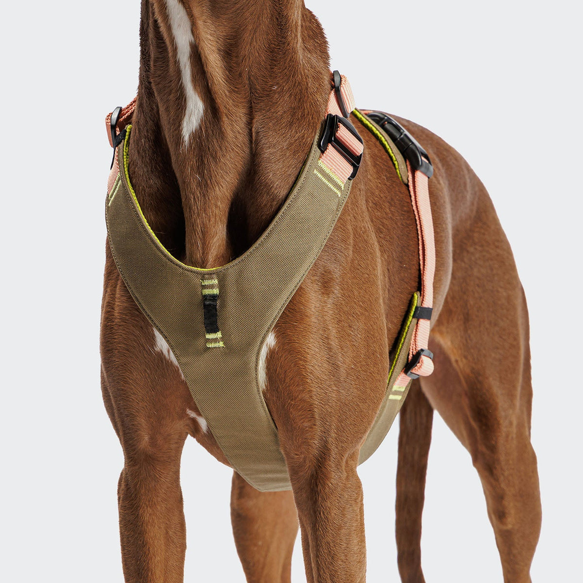 Y-2 Harness AKTIV Cordura Peach product image