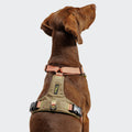 Y-2 Harness AKTIV Cordura Peach product image