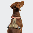 Y-2 Harness AKTIV Cordura Peach product image