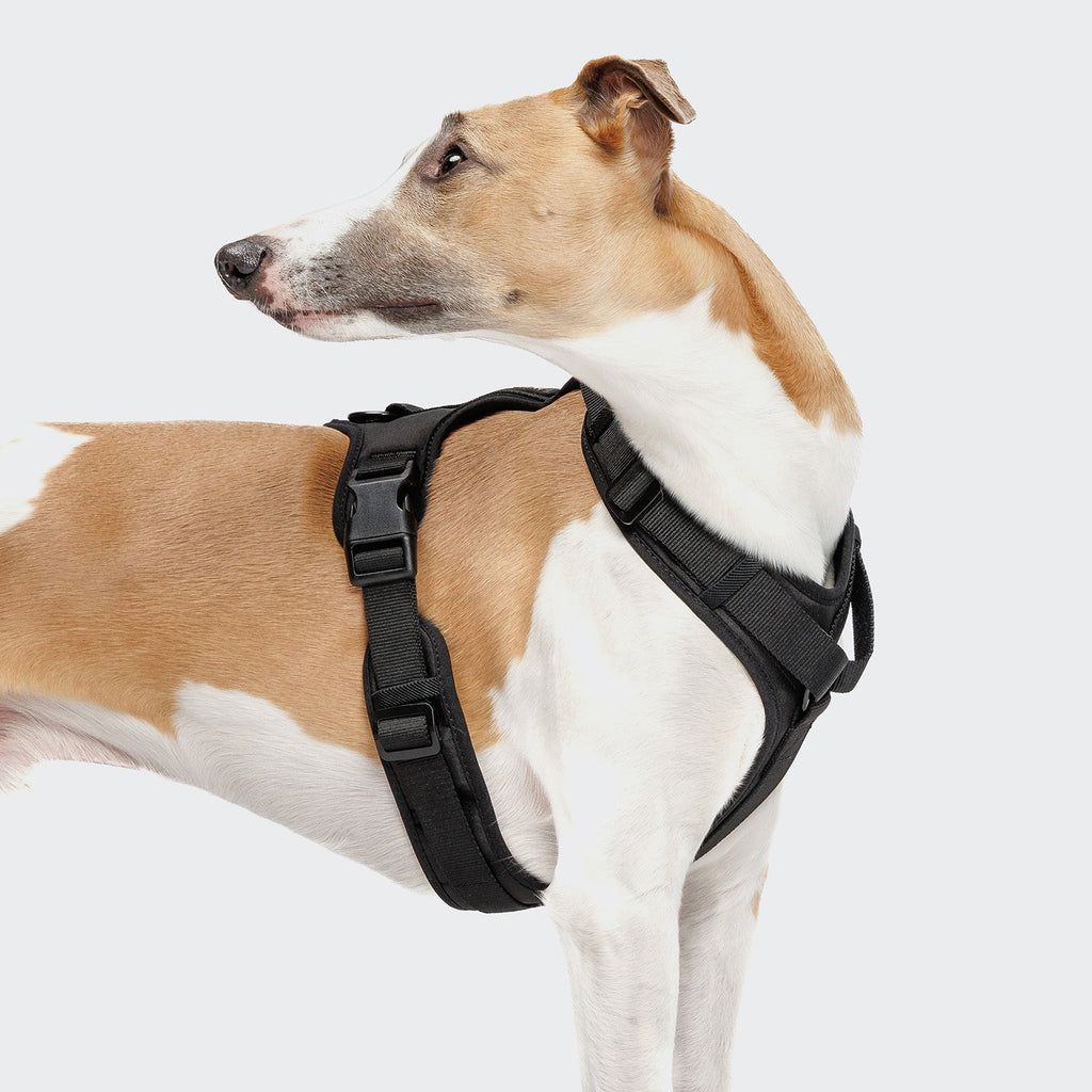 Y-3 Harness AKTIV Softshell Black product image