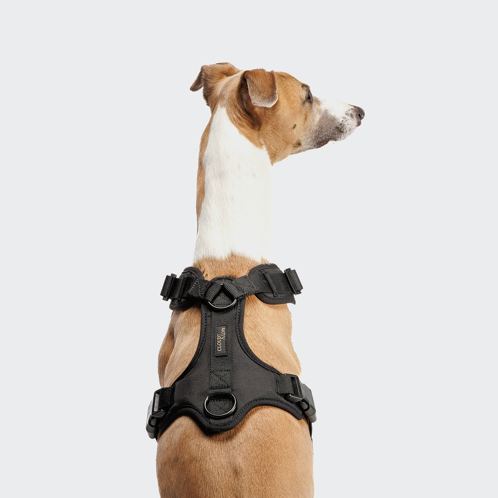Y-3 Harness AKTIV Softshell Black product image