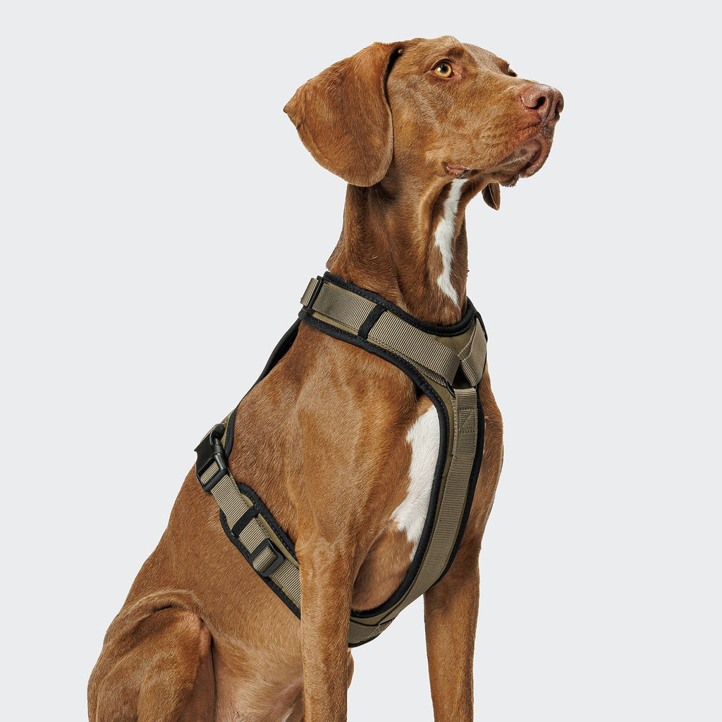 Y-3 Harness AKTIV Softshell Olive product image