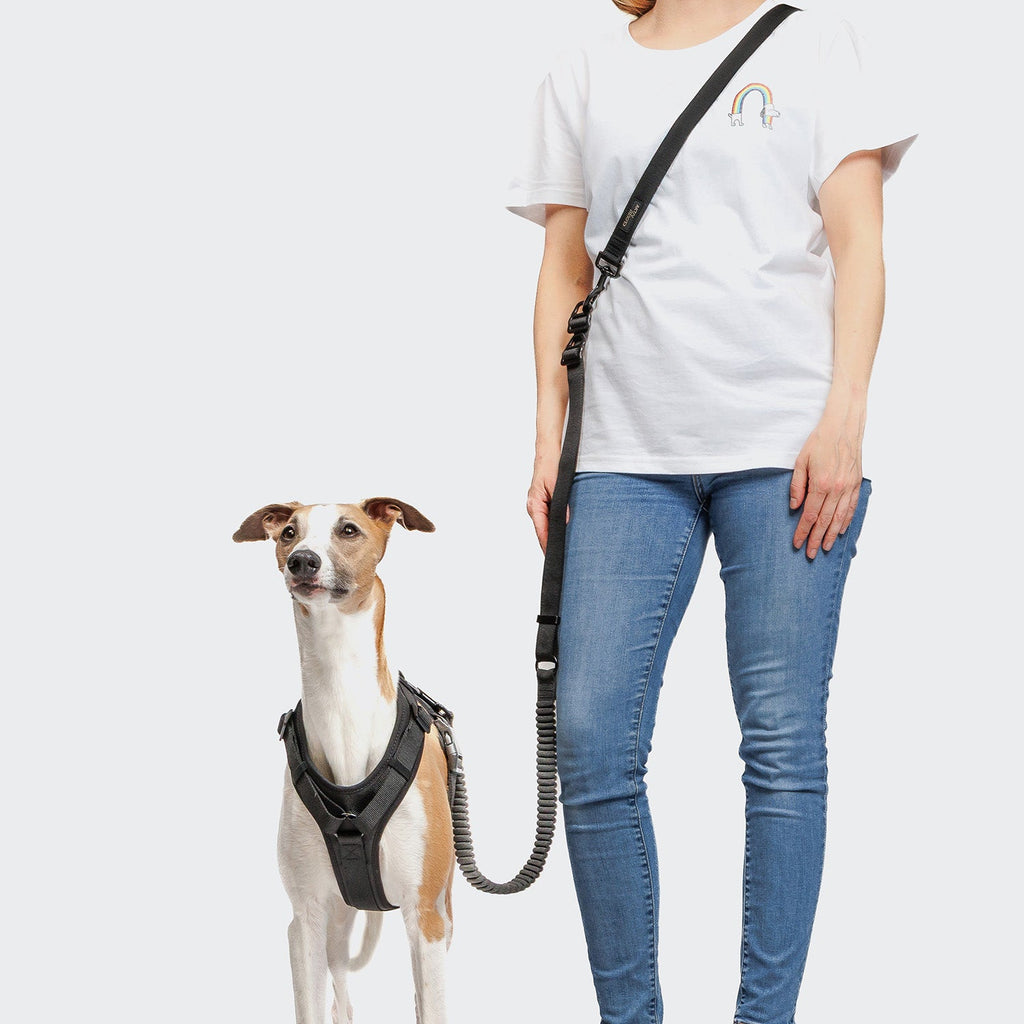 L-2 Jogging-Leash AKTIV Black product image