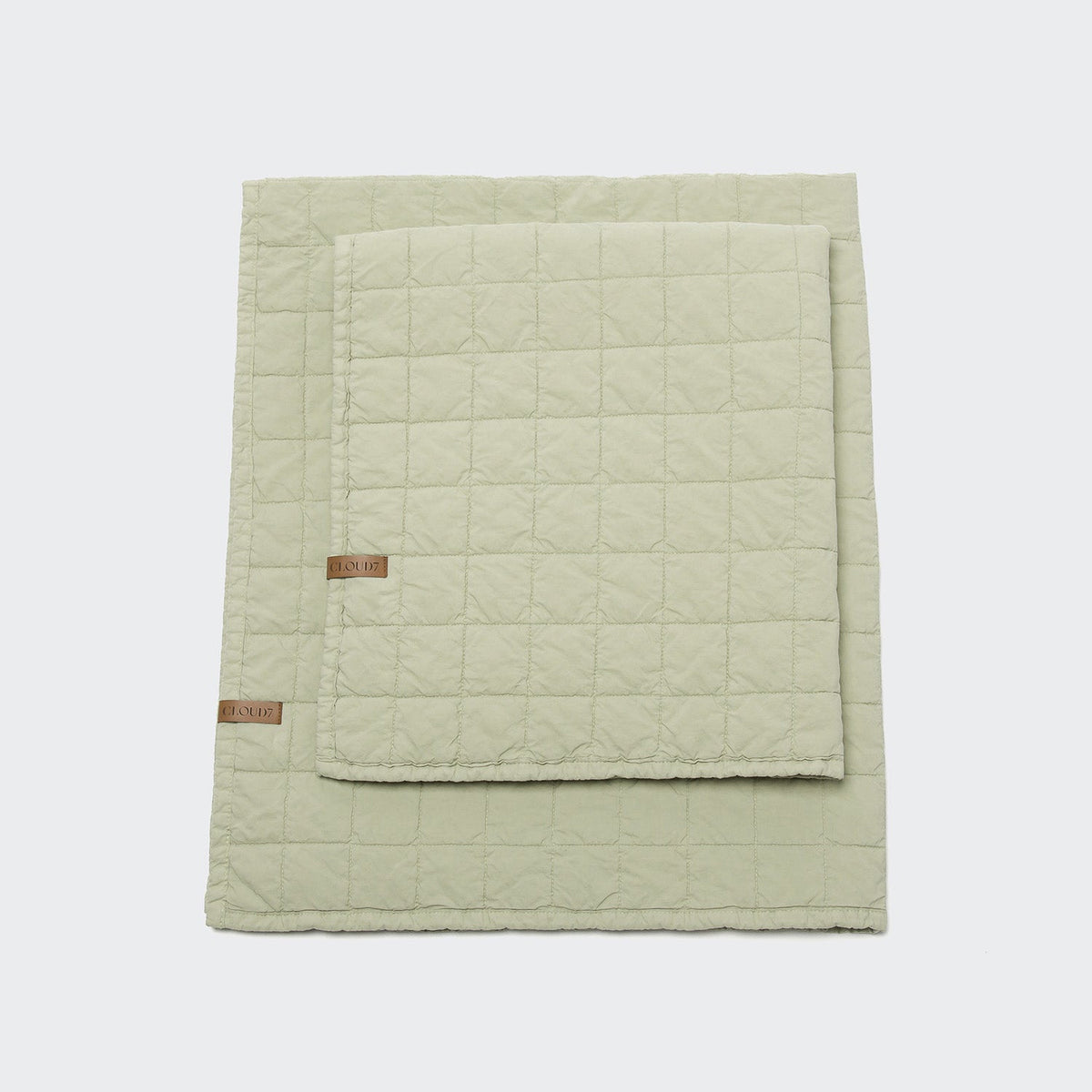 Dog Blanket LTTL Faded Moss product image