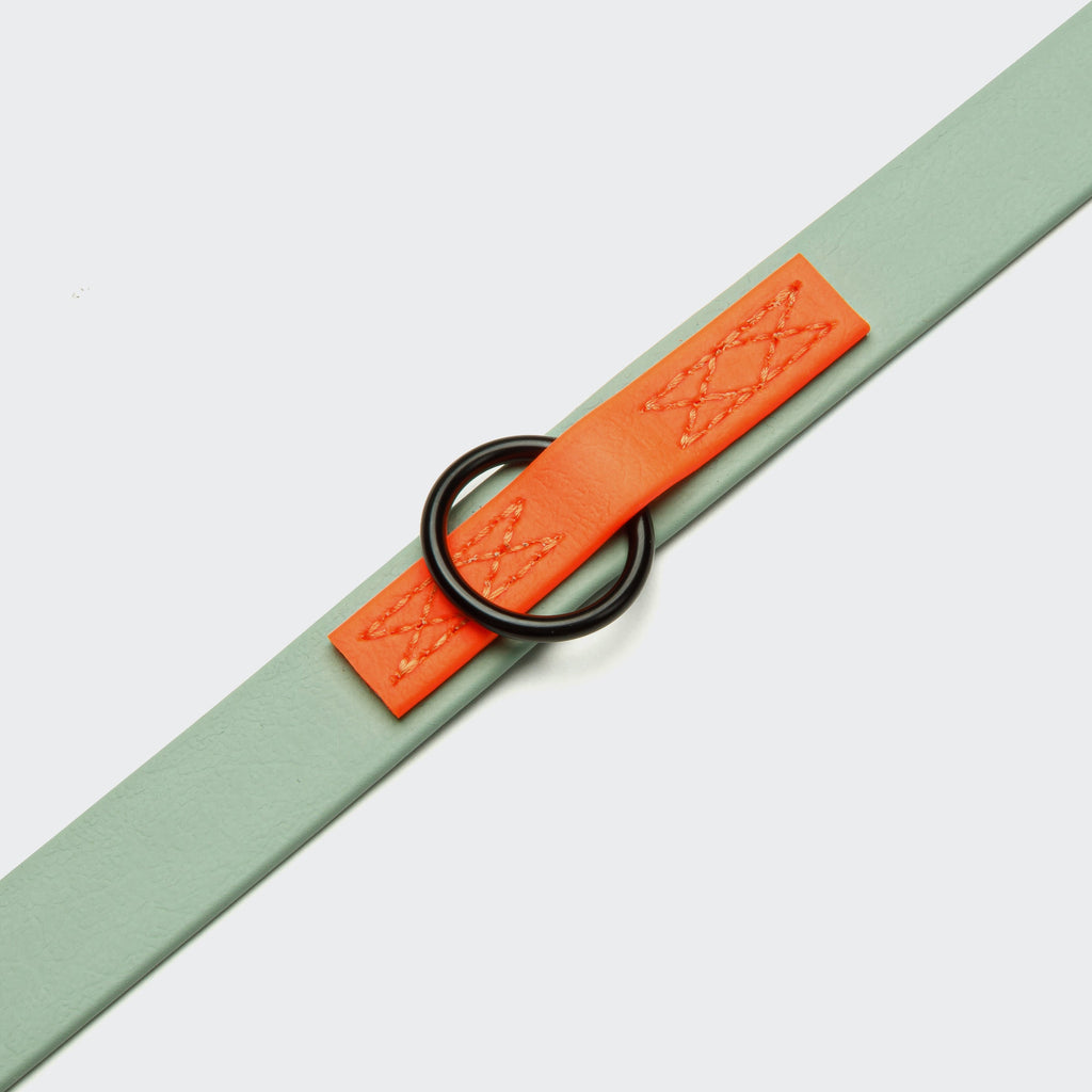 Adjustable Dog Leash  BioThane Ipanema Mint-Neon Orange product image