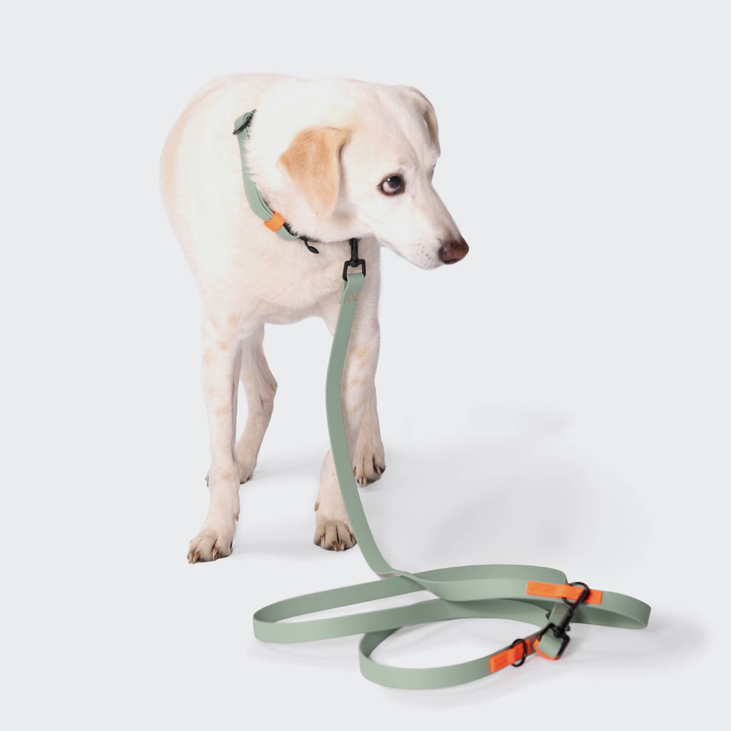 Adjustable Dog Leash  BioThane Ipanema Mint-Neon Orange product image