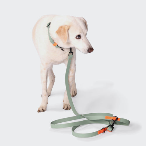 Adjustable Dog Leash  BioThane Ipanema Mint-Neon Orange product image