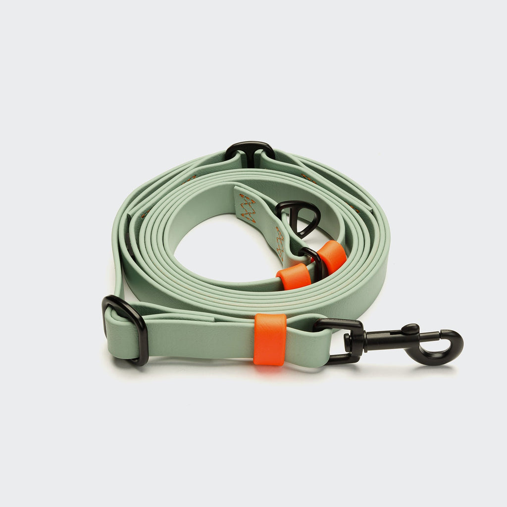 Hands Free Dog Leash BioThane Ipanema Mint-Neon Orange product image