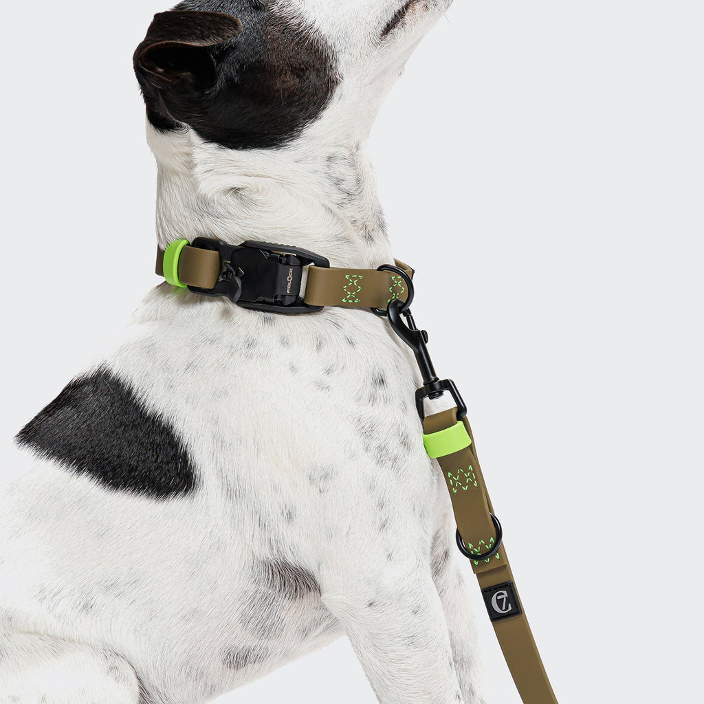 Hands Free Dog Leash BioThane Ipanema Olive-Neon Green product image