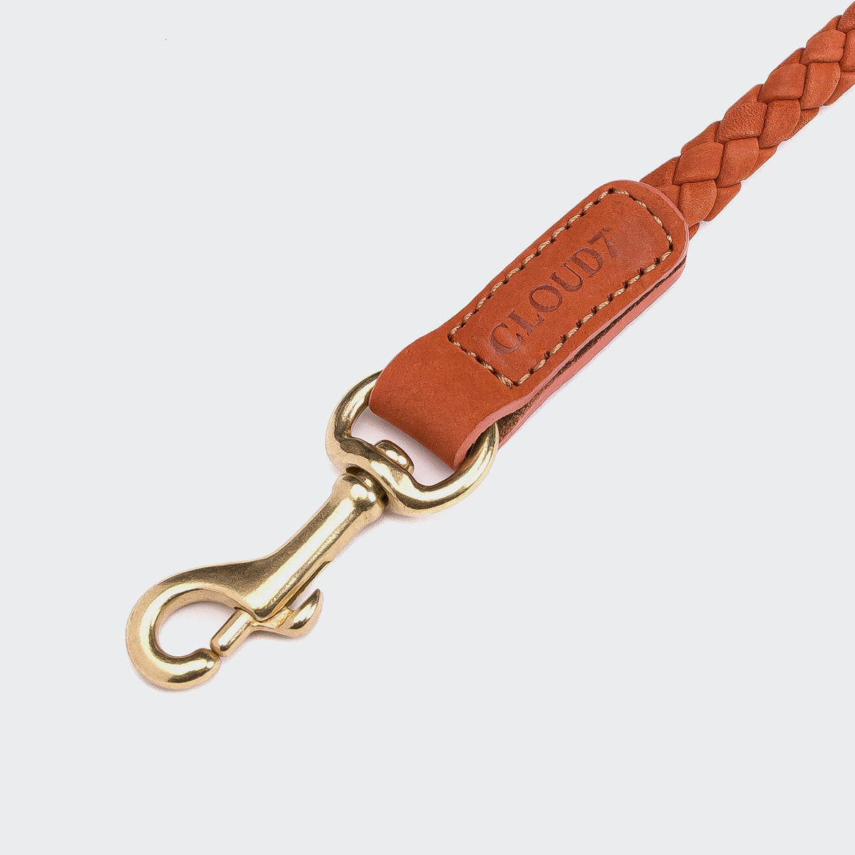 Dog Leash Ravello Rust product image