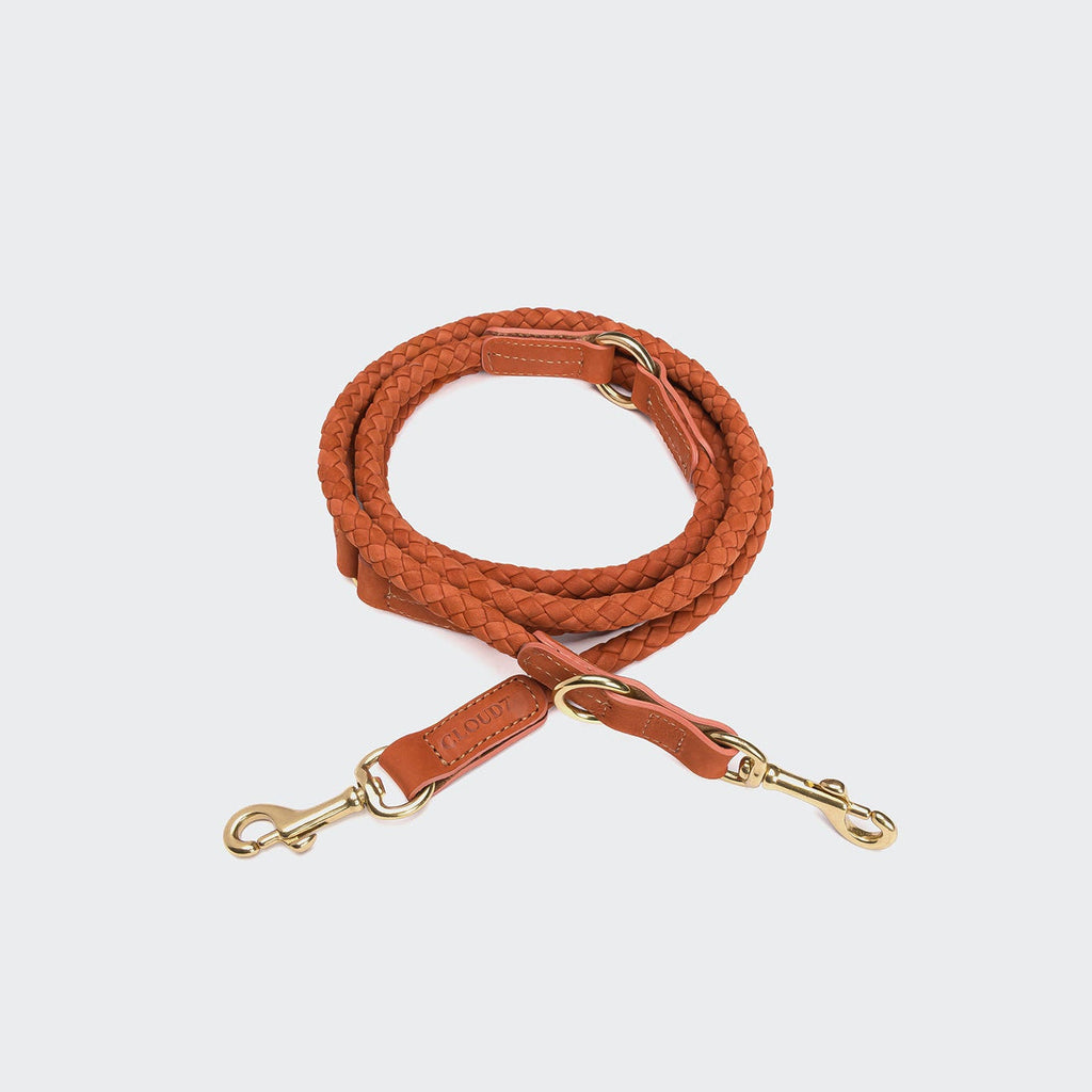 Dog Leash Ravello Rust product image