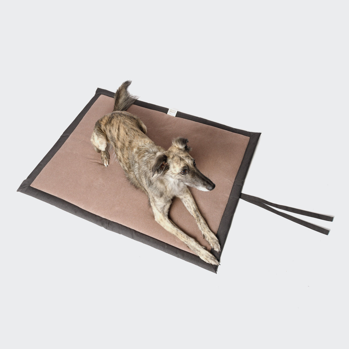 Dog Mat Water-Repellent Graphite product image