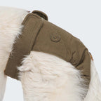 Dog Panties Olive product image
