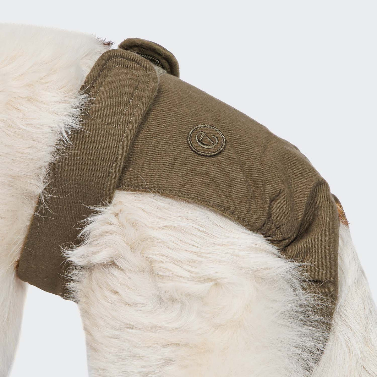 Dog Panties Olive product image