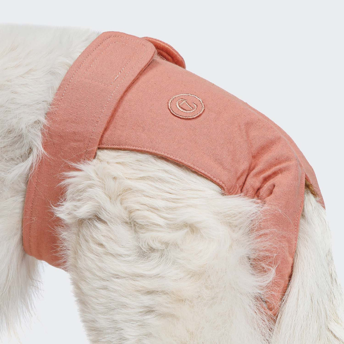 Dog Panties Rose product image
