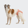 Dog Panties Rose product image