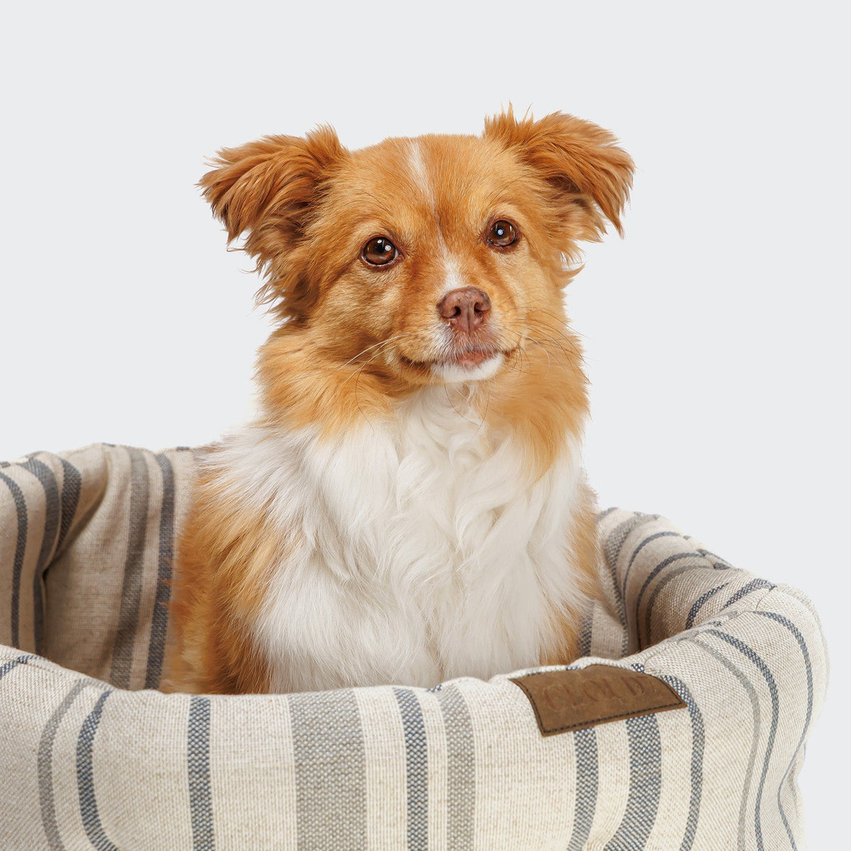 Dog Pillow Lazy Linen Stripes Natural/Blue product image