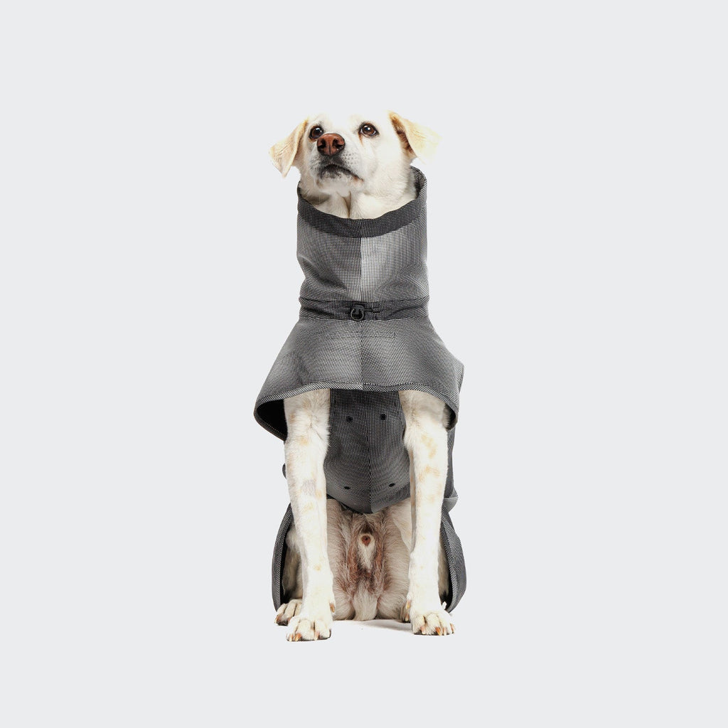 Dog Raincoat AKTIV Black product image